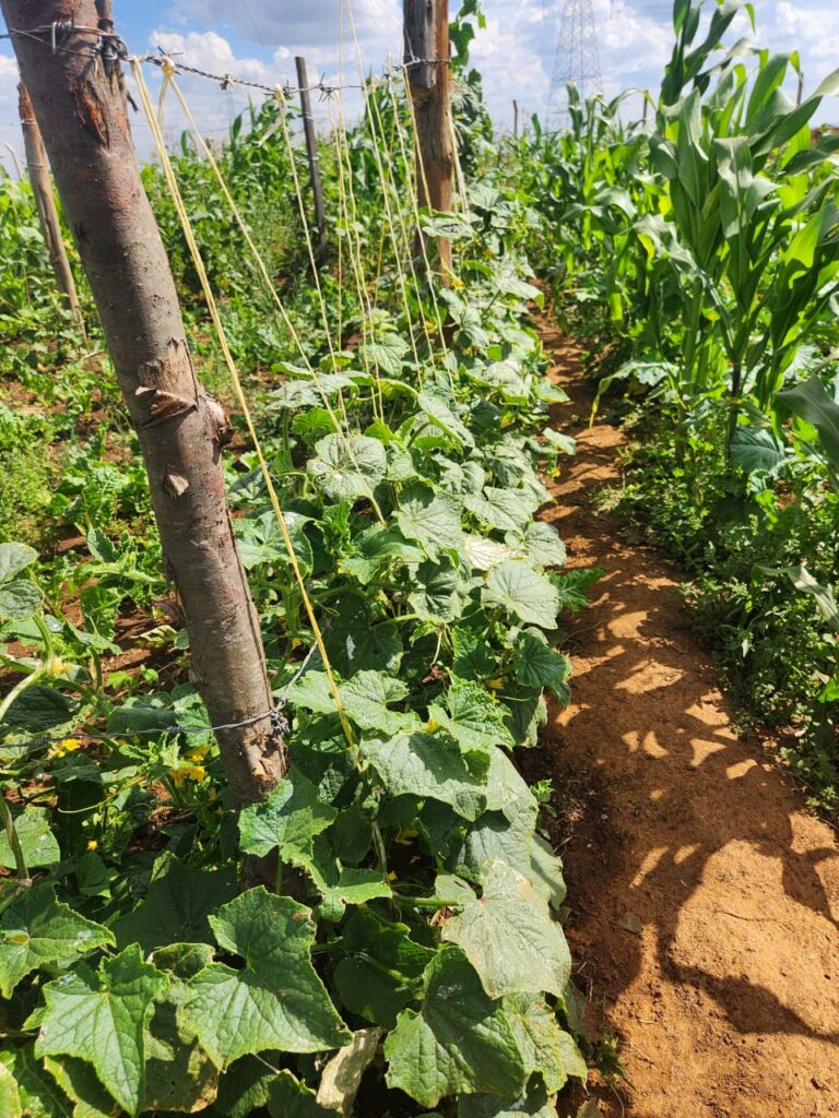 Mastering the First Impression: Your intriguing post title goes here