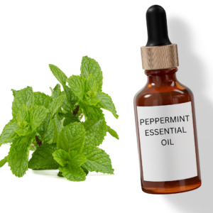 PEPPERMINT OIL