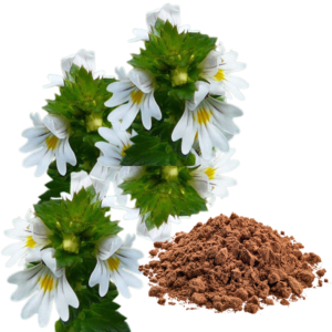 EYEBRIGHT EXTRACT