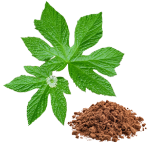 GOLDEN SEAL EXTRACT