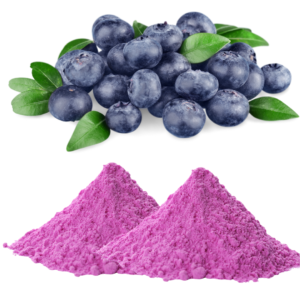 BLUEBERRY EXTRACT POWDER