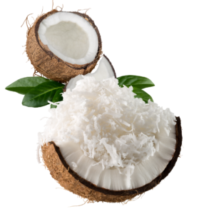 DESICATED COCONUT