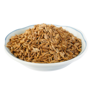 DILL SEEDS