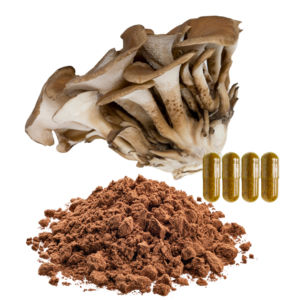 MAITAKE MUSHROOM EXTRACT