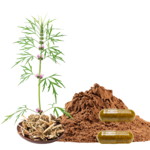 MOTHERWORT EXTRACT