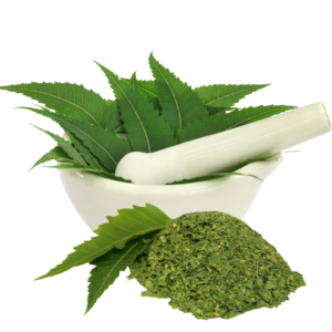 NEEM (MWARUBAINI)