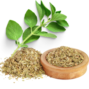 OREGANO RUBBED