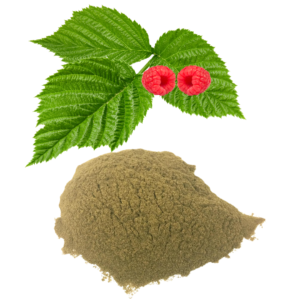 RED RASPBERRY LEAF POWDER
