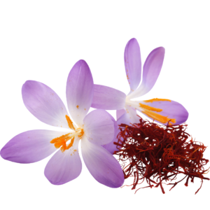 IRANIAN SAFFRON