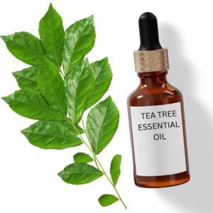 TEA TREE OIL