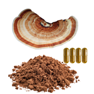 TURKEY TAIL MUSHROOM EXTRACT
