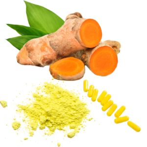 CURCUMIN (TURMERIC EXTRACT)
