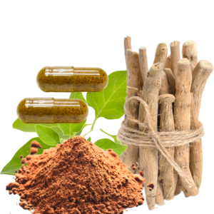 ASHWAGANDHA ROOT EXTRACT