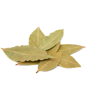 BAY LEAF