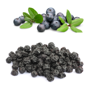 DRIED BLUEBERRIES
