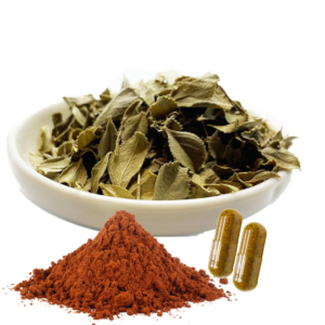 BUCHU LEAF EXTRACT