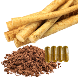 BURDOCK ROOT EXTRACT