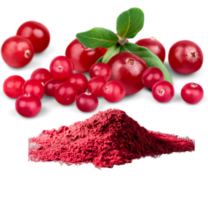 CRANBERRY EXTRACT POWDER