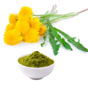 DANDELION ROOT POWDER