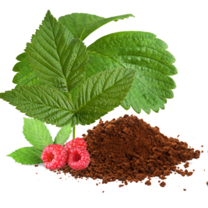 RED RASPBERRY LEAF EXTRACT