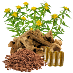 RHODIOLA ROOT EXTRACT