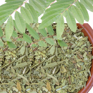 SENNA LEAF