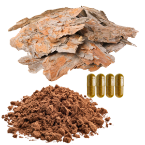 SLIPPERY ELM INNER BARK EXTRACT