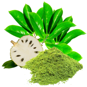 SOURSOP LEAF POWDER