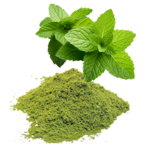 SPEARMINT LEAF POWDER