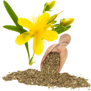 ST JOHN’S WORT