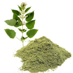 STINGING NETTLE LEAF POWDER (THABHAI)